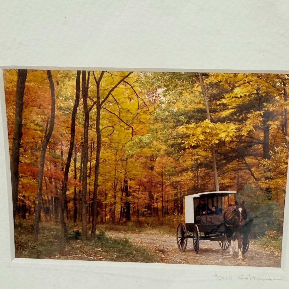 Bill Coleman Amish‎ Horse and Buggy Fall Colors Print Signed Matted NEW
